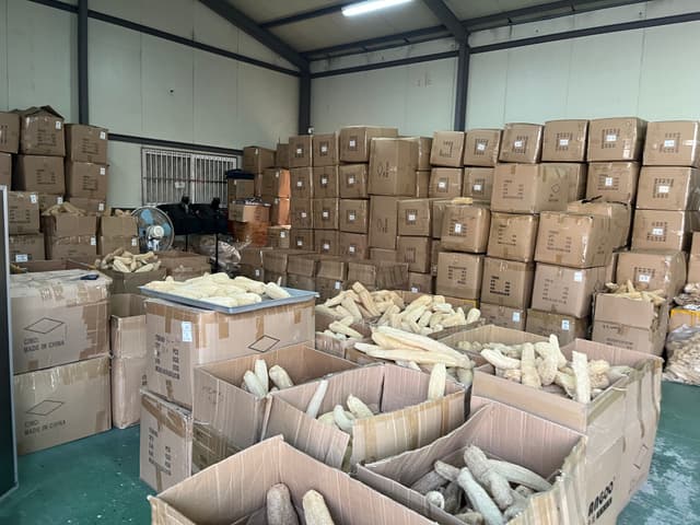 컨설팅 현장 - 사진 7